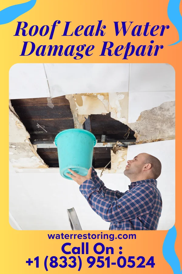 Roof Leak Water Damage Repair in Maverick Junction, SD